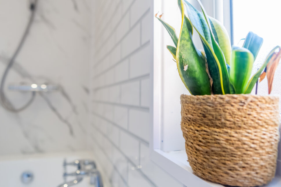 White and grey traditional shower bathroom