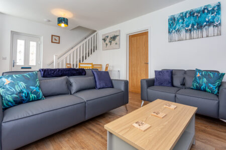 Blue feature wall living room/ dining room