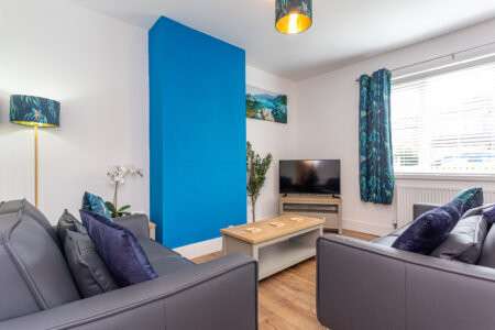 Blue feature wall living room/ dining room