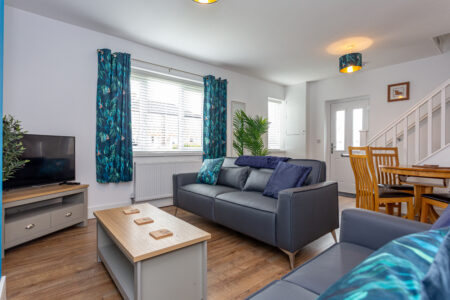 Blue feature wall living room/ dining room