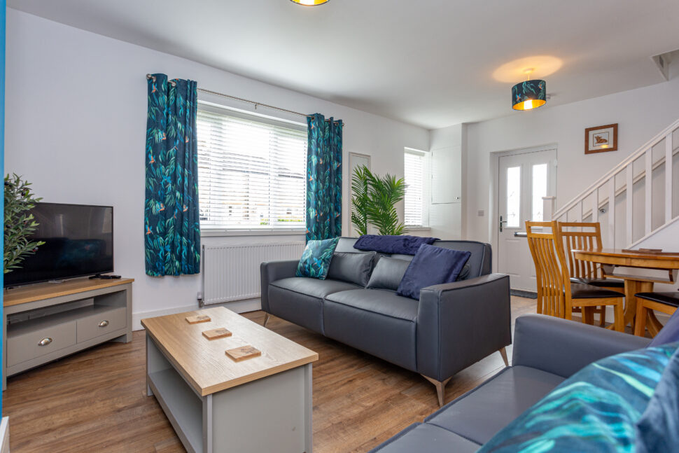 Blue feature wall living room/ dining room