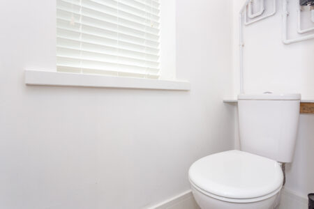 White cloakroom wc