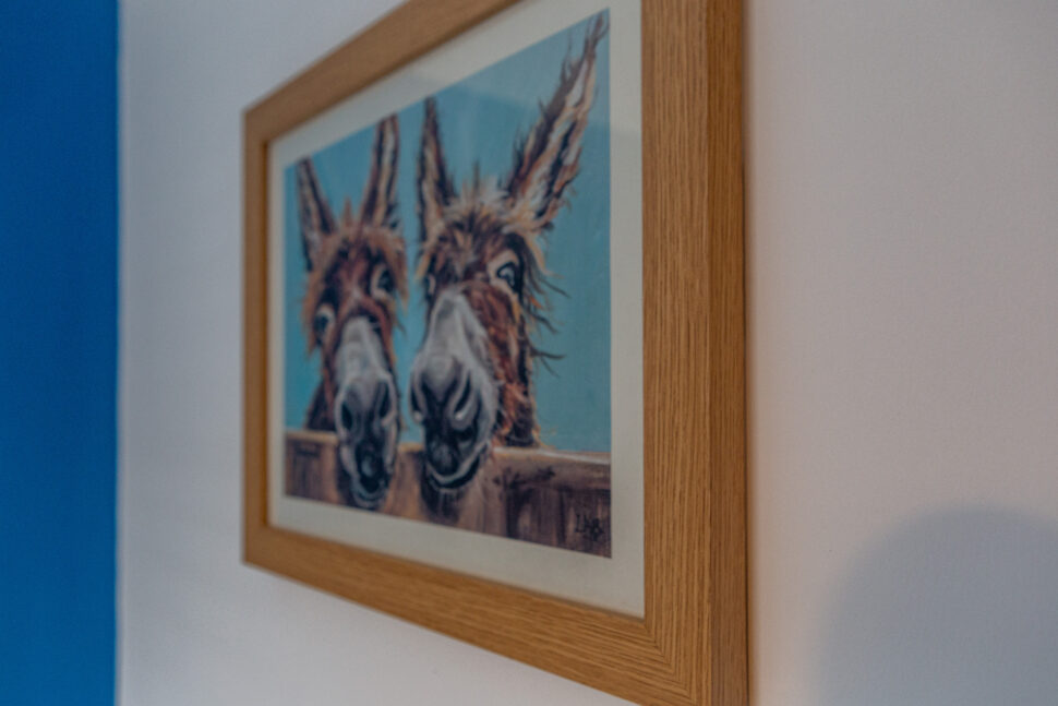 Blue single bedroom with exotic animal accessories