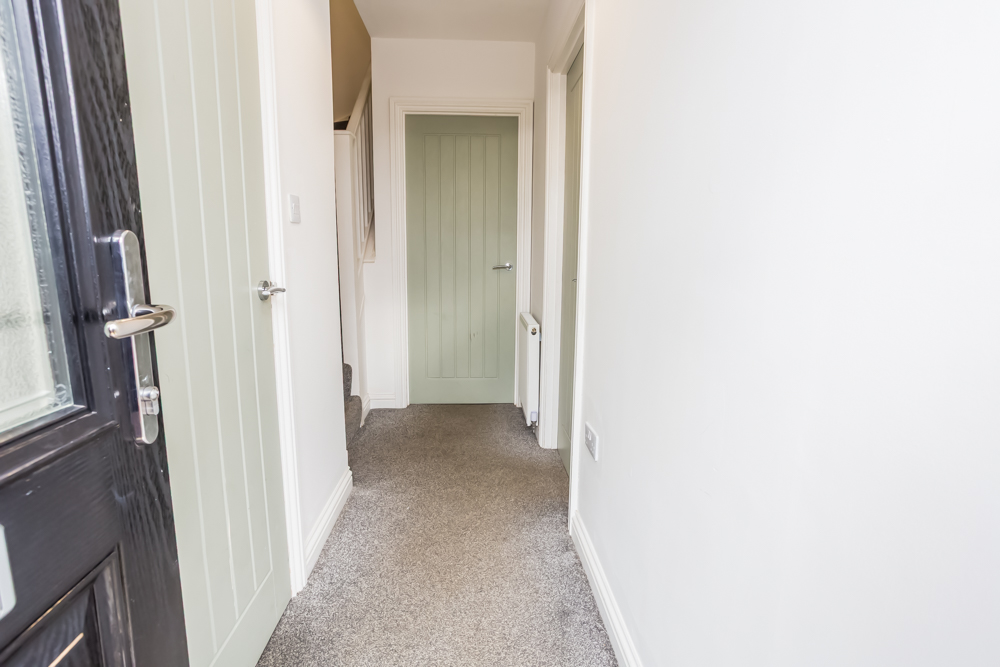 Dene Edge - 50