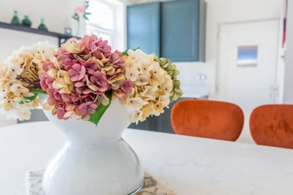 Springhill Gardens - 42