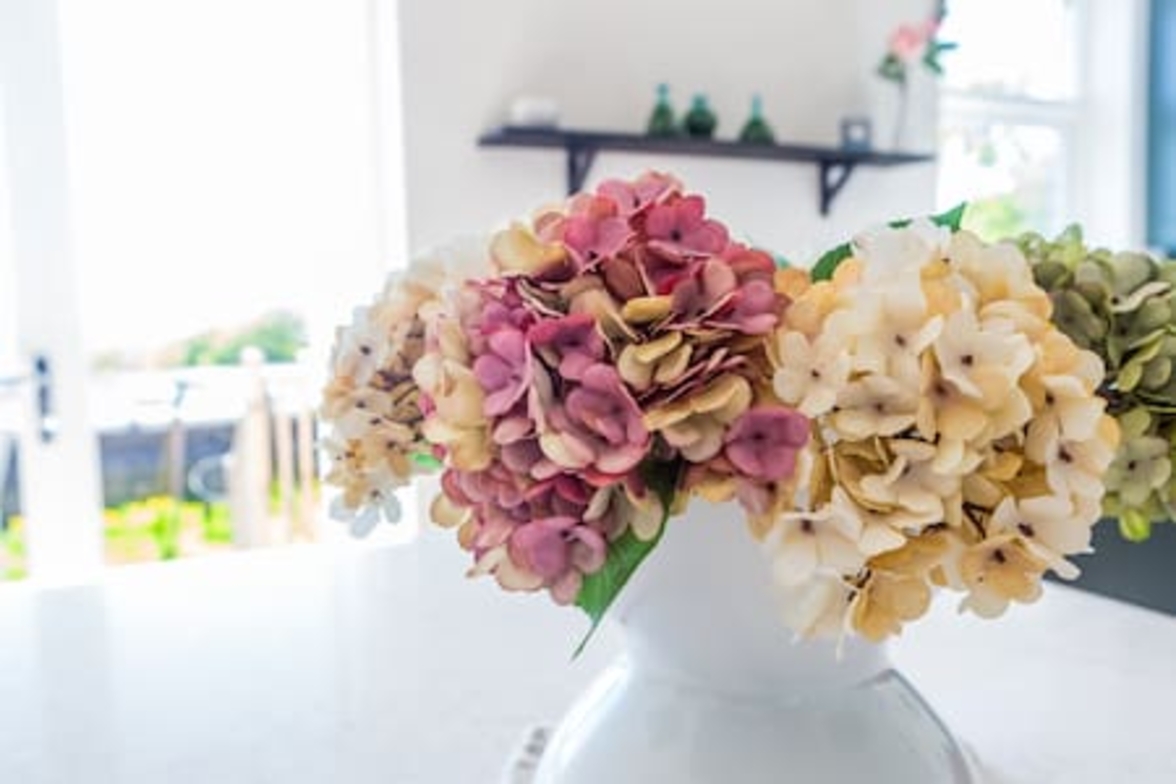 Springhill Gardens - 43