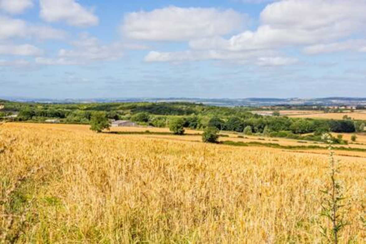 The Garthhill - 48
