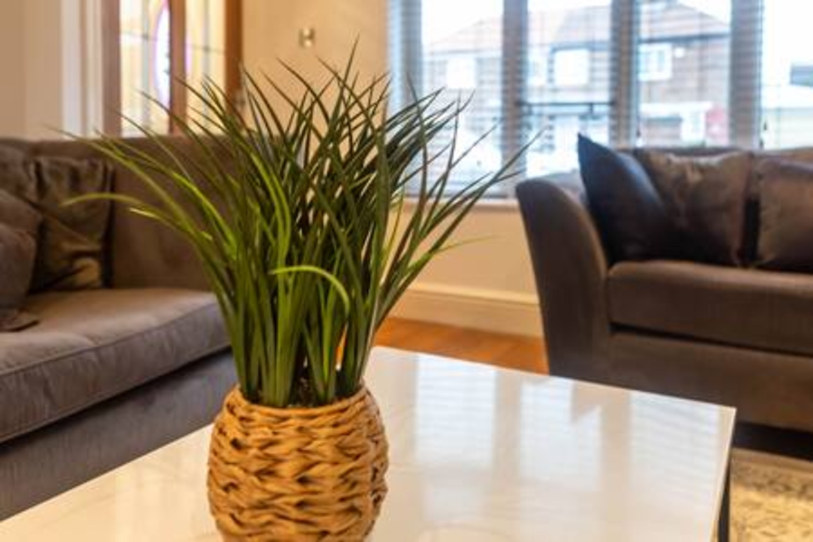 Gilmonby Grove - 49