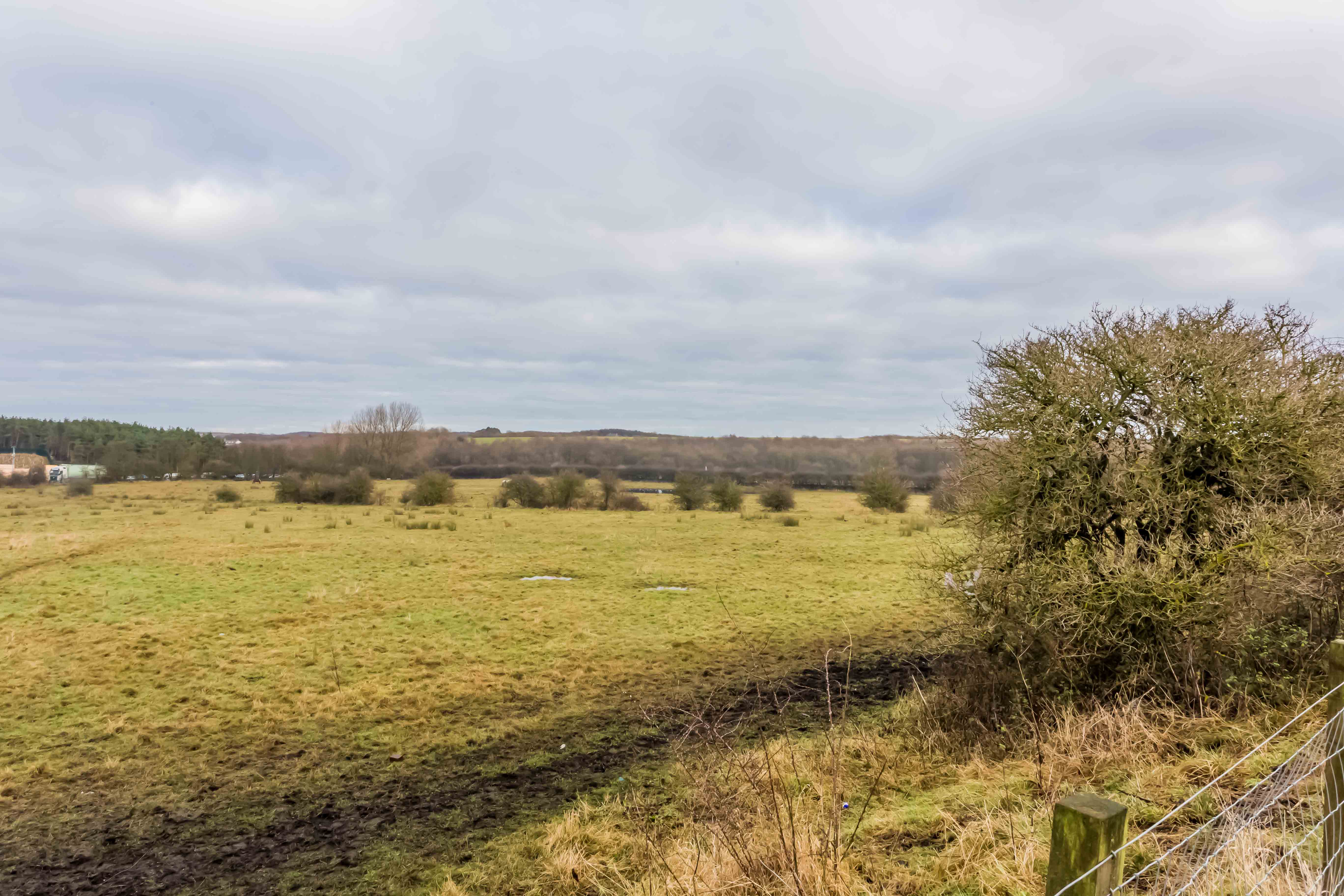The Northern View - 42